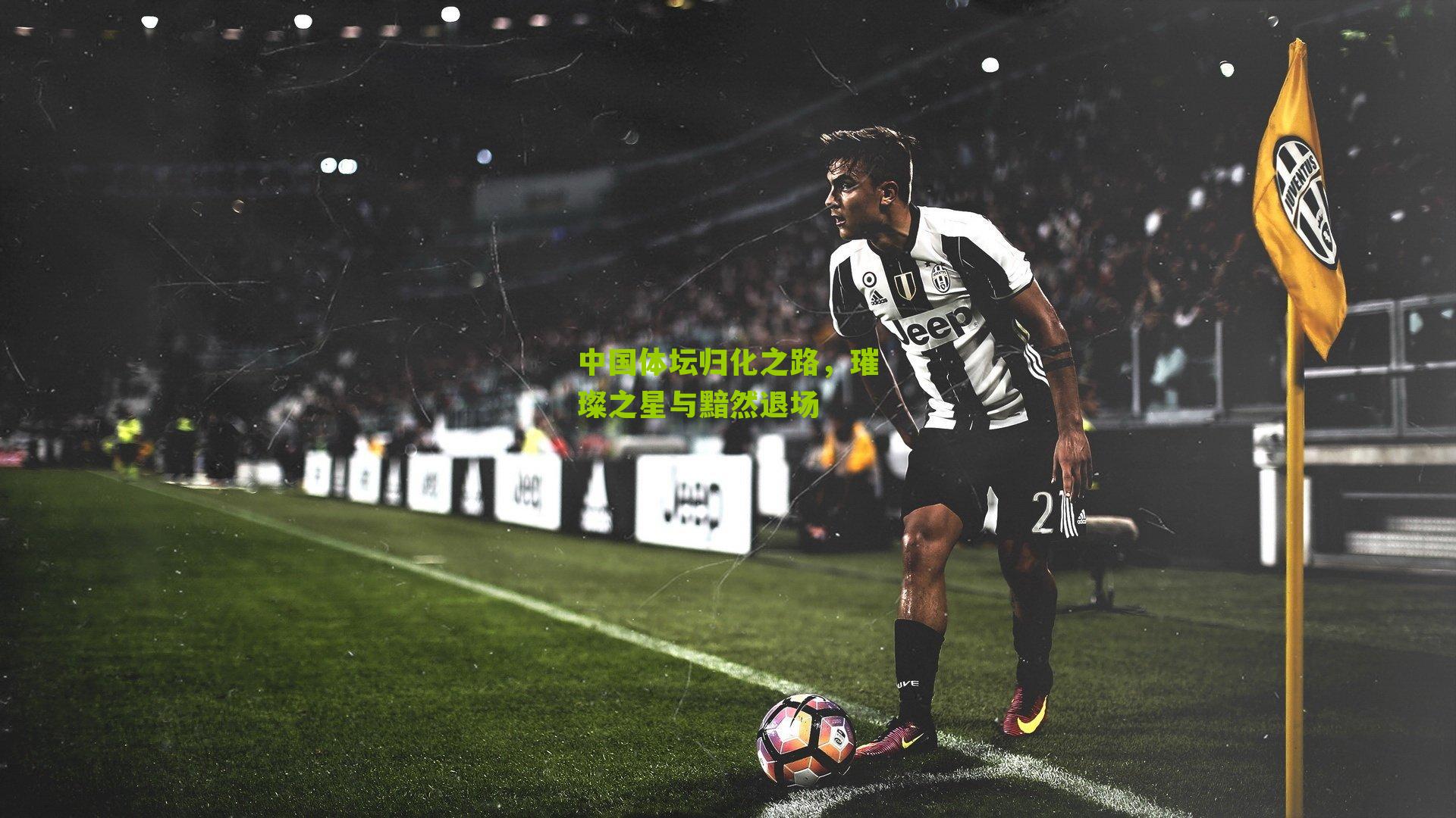 中国体坛归化之路，璀璨之星与黯然退场